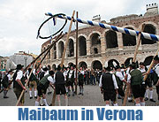 Begeisterung in Verona für Brauchtum und Bier aus Rosenheim – Viertägige Bayern-Präsentation in Verona begann mit Maibaumaufstellen auf der Piazza Brà (Foto: Anton Hötzlsperger)